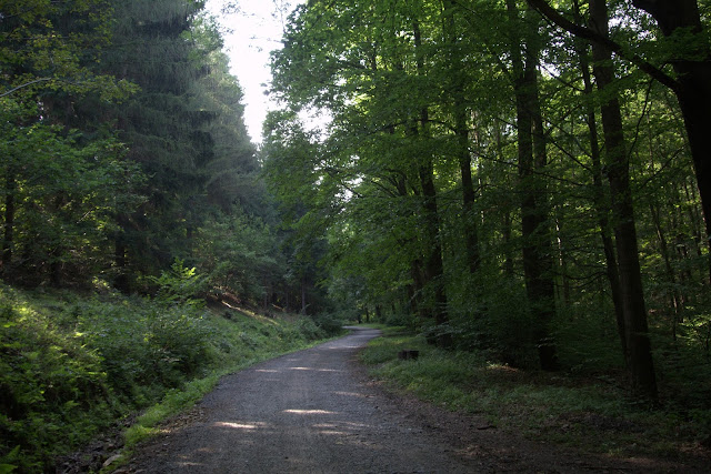 trasa na przełęcz Trzy Buki