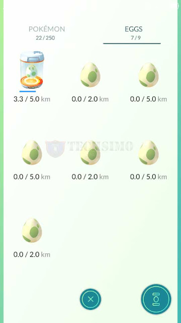 eggs pokemon