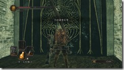 DarkSoulsII 2017-01-10 21-22-12-85