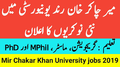 Mir Chakar Khan Rind University MCKRU Jobs 2019