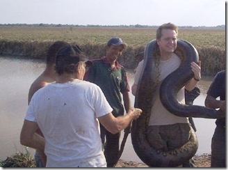 anaconda-gigante2-03
