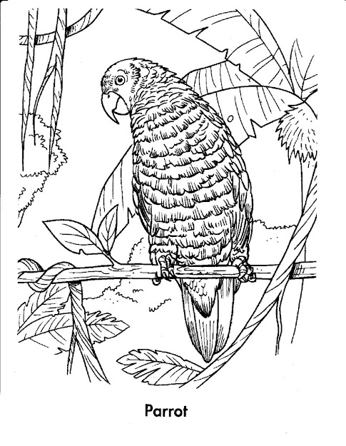 Free Coloring Pages Of Equatorial Forest Animals