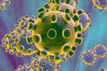 OMS señala al coronavirus como “una amenaza muy grave” para el mundo