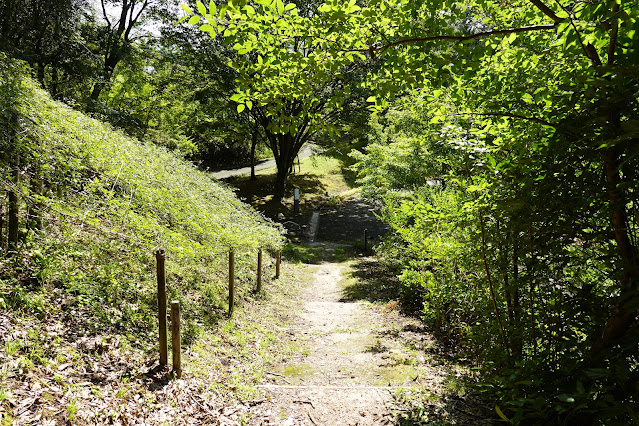 鳥取県西伯郡南部町鶴田　とっとり花回廊