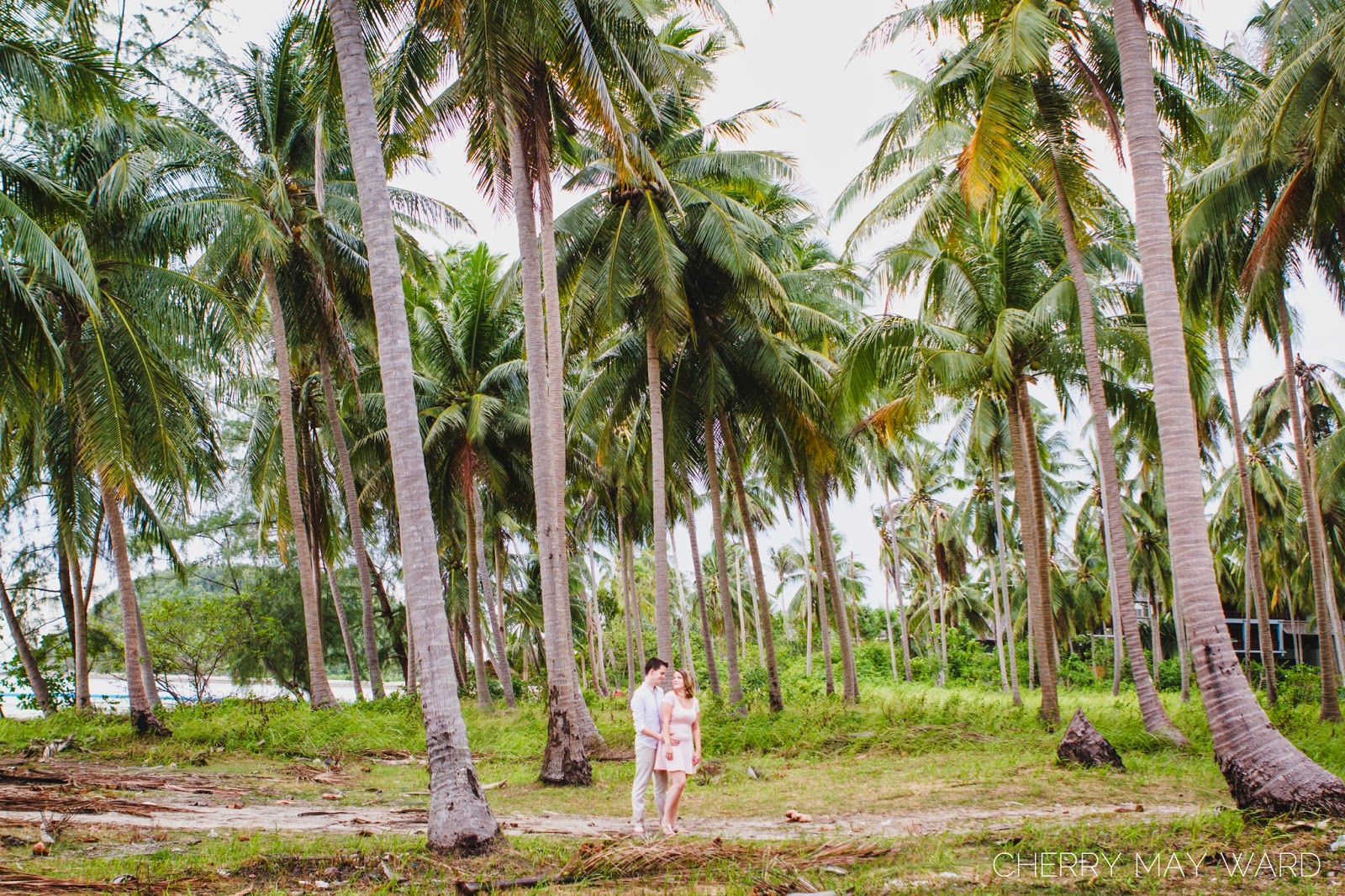 Koh Samui Engagement photography, Engagement photos in Thailand, Thailand proposal, Thailand engagement photos, Thailand wedding photographer, BEAUTIFUL photos in a palm tree field, amazing photos with palm trees in Thailand, tropical island engagement photos