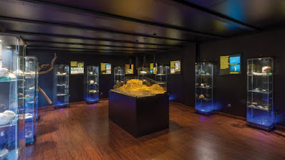 El museo mantiene un espacio dedicado a la colección de fósiles