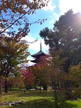 東寺