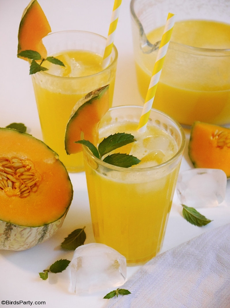 Cantaloupe Melon Lemonade - quick, easy and delicious refreshing drink to serve in summer and make the best of your seasonal fruits! by BirdsParty.com @BirdsParty #drinks #beverages #recipe #melon #cantaloupemelon #summerdrink #cocktail #lemonade #melonlemonade #melonade