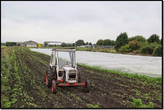 2512tractor2