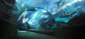 Siam Ocean World