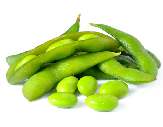 Edomas Cara Menanam Edamame Dari Penanaman Hingga Panen