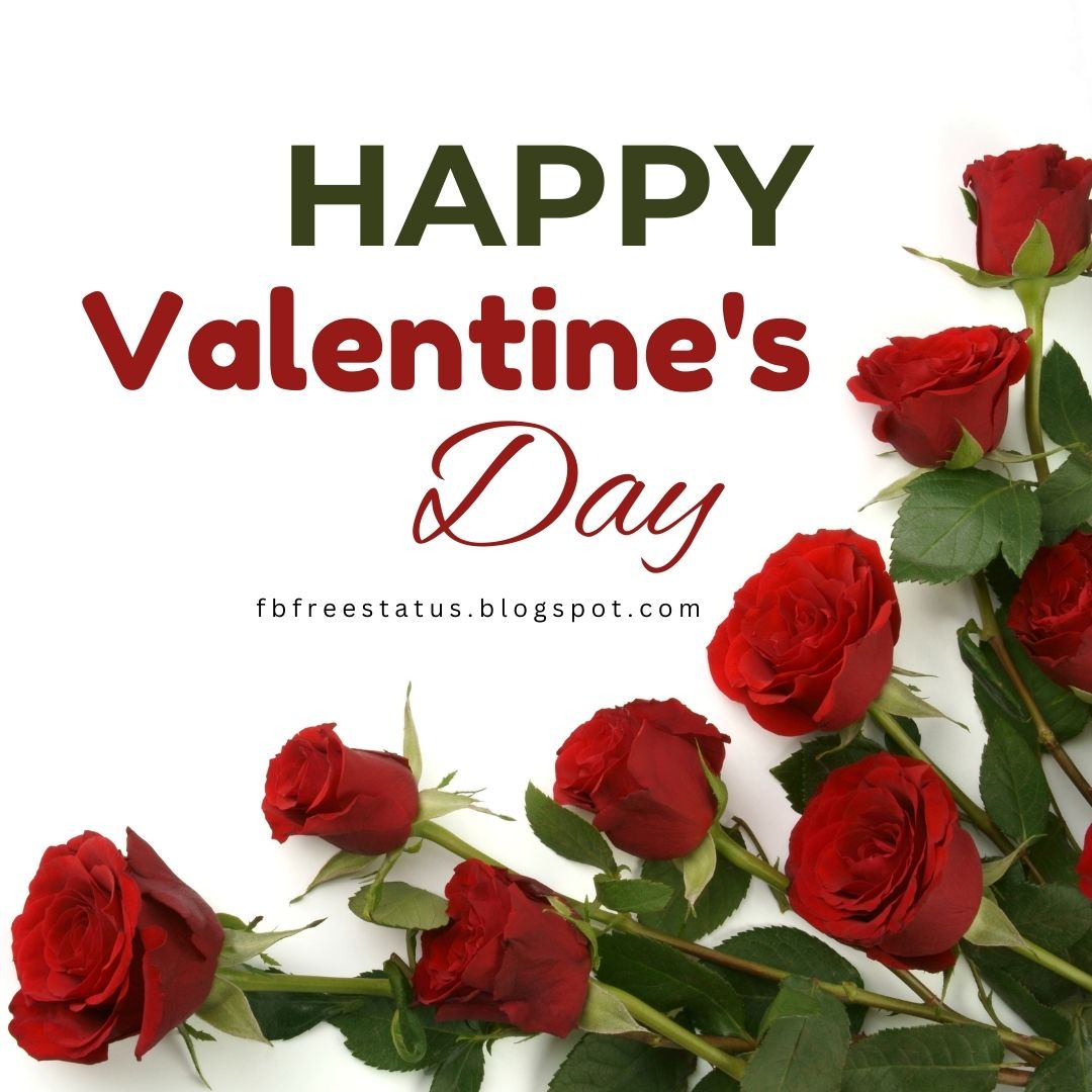 Happy Valentines Day Pictures Images