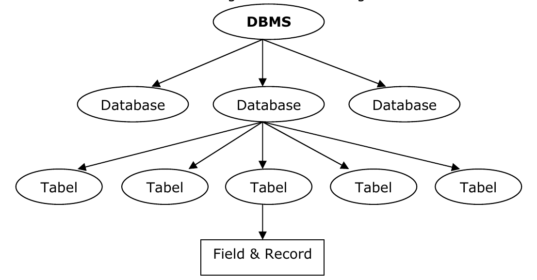 struktur database