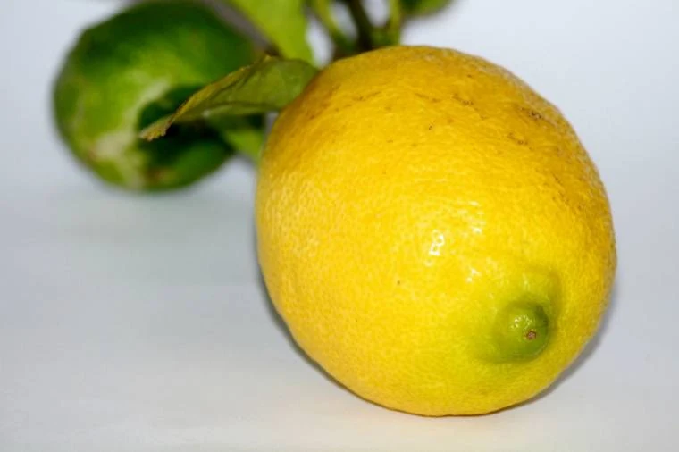 Lemon