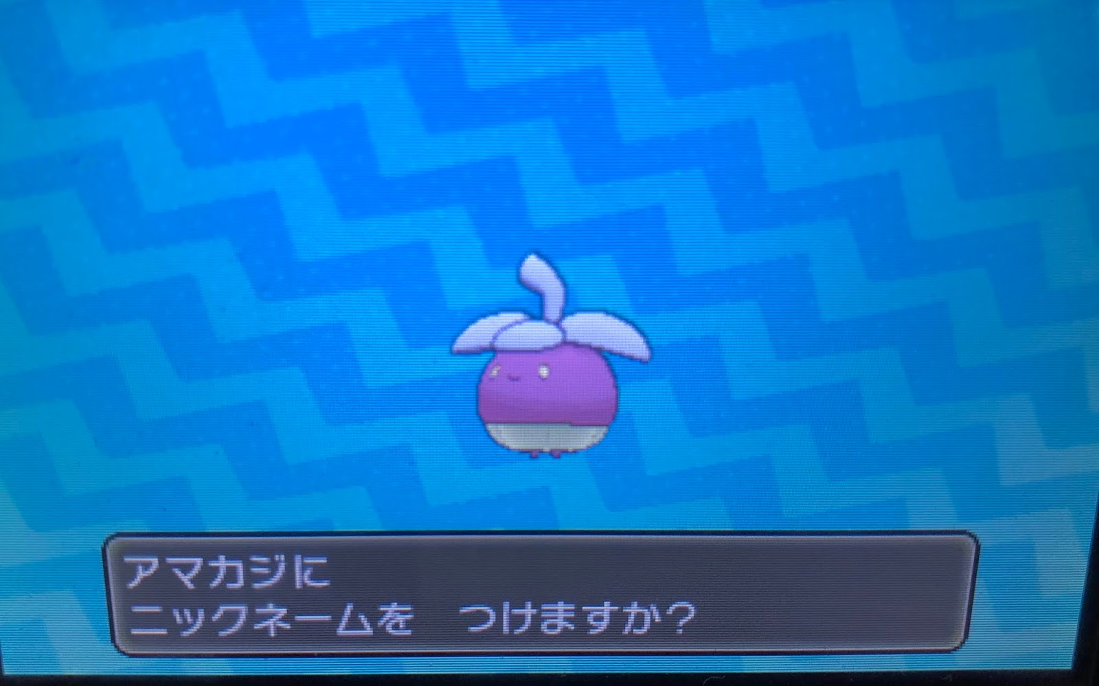 にゃんさんの日記 ポケモンサンムーンプレイ日記 色違いアマカジへの道 にゃんさんの日記 ポケモンサンムーンプレイ日記 色違いアマカジへの道