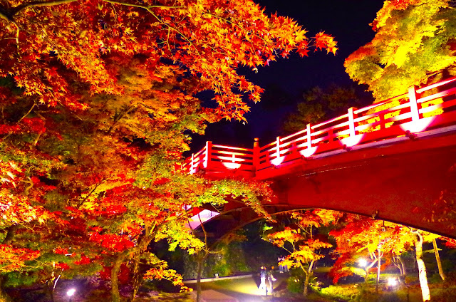 彌彥公園的秋葉彩燈。