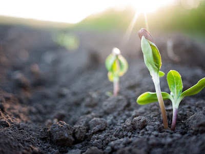 Agribusiness funding opportunity