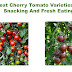  Best Cherry Tomato Varieties For Snacking And Fresh Eating