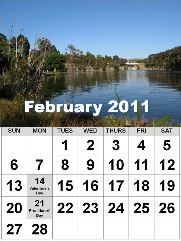 Free Printable USA / US February 2011 Calendar with big fonts