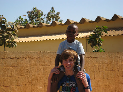 Le blog du baobab éclos