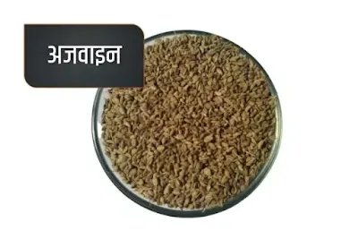 carrom Seeds - spicy and strong spice name in Hindi