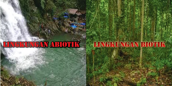 abiotik dengan lingkungan biotik atau sebaliknya. Contoh interaksi ...