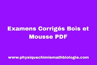Examens Corrigés Bois et Mousse PDF