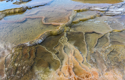 黃石國家公園, Mammoth Hot Springs, yellowstone national park