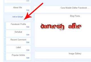 Cara Menampilkan Gambar Profile Facebook Di Blog