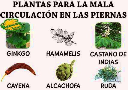 mala-circulacion-piernas-plantas