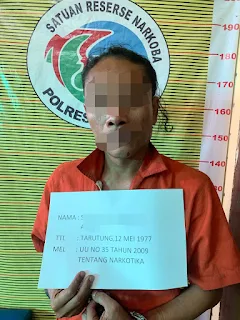 Polres Samosir Berhasil Mengungkap Seorang Laki-laki Penanam Ganja