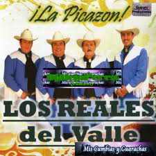 Los Reales Del Valle - La Picazón