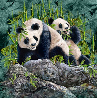 Hidden Pandas illusion picture