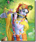 [Lord Krishna]