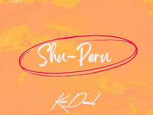 Kizz Daniel – Shu-Peru 