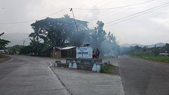 cute carabao monument at the intersection entering Sogod via Brgy Imaculada Concepcion