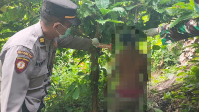 Seorang Pria di Tirtoyudo Malang Ditemukan Gantung Diri di Atas Pohon Kopi