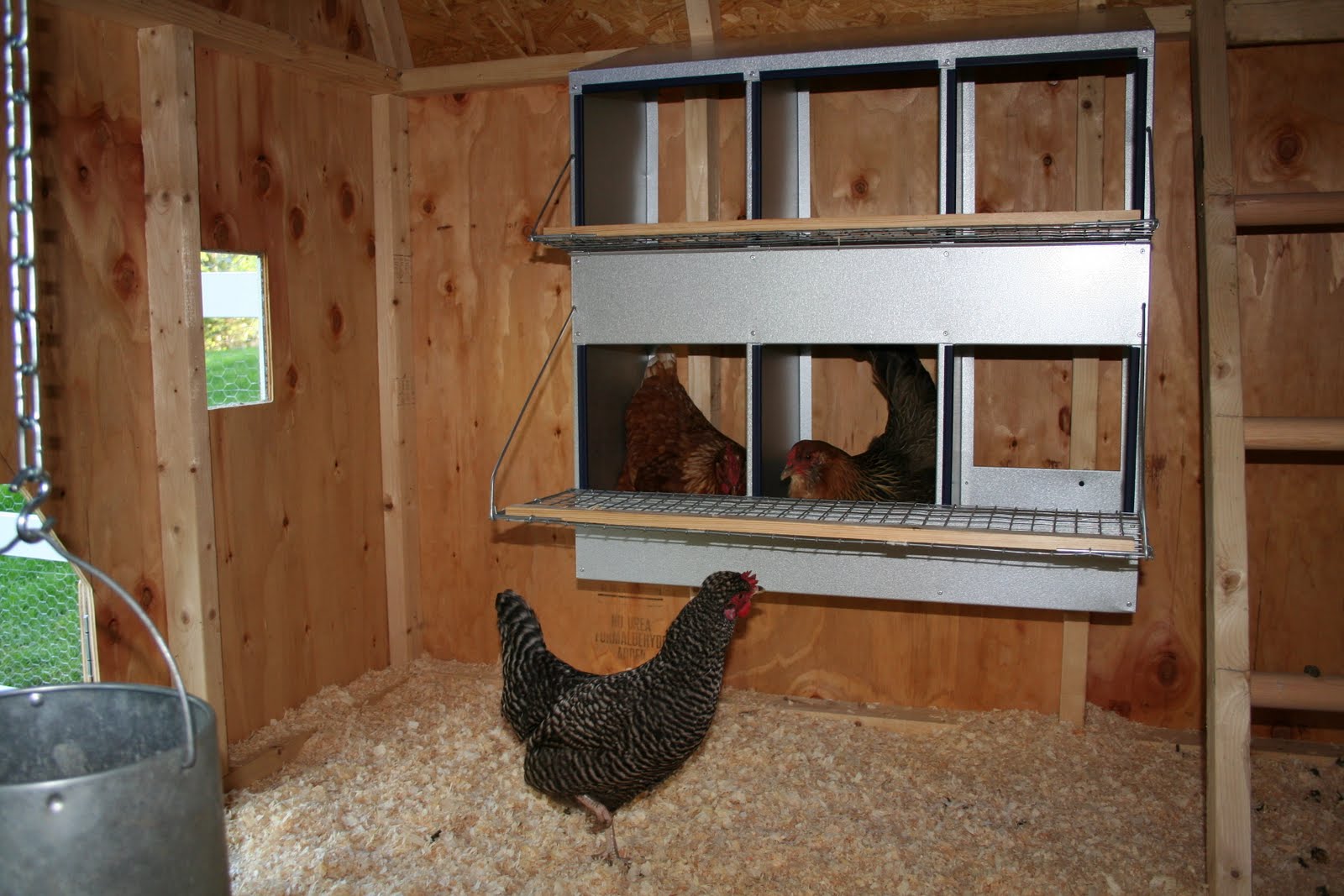 Chicken Feeders and Waterers