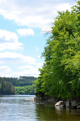 Blick auf einen See mit Bäumen an Ufer, im Hintergrund blauer Himmel mit weißen Wolken.