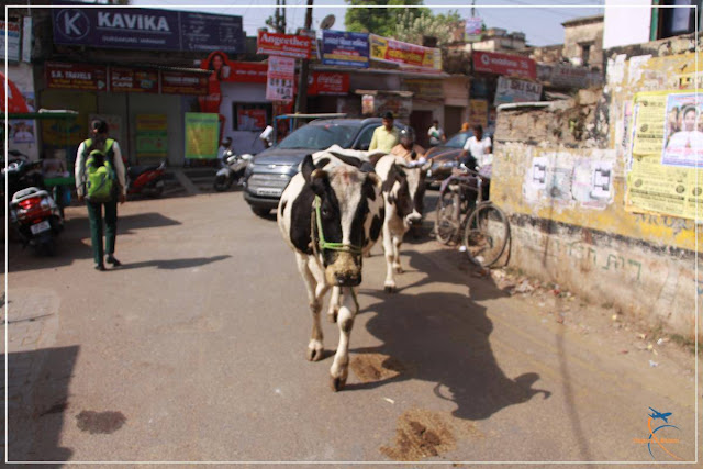 Varanasi, a cidade mais sagrada da Índia!