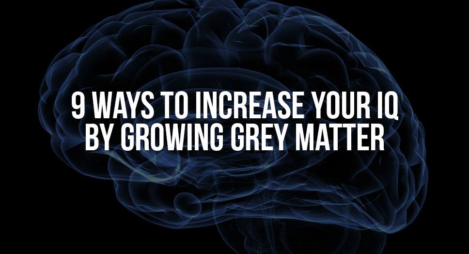 9 Ways To Increase Your IQ By Growing Grey Matter