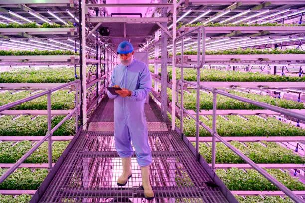 Challenges of vertical farming?