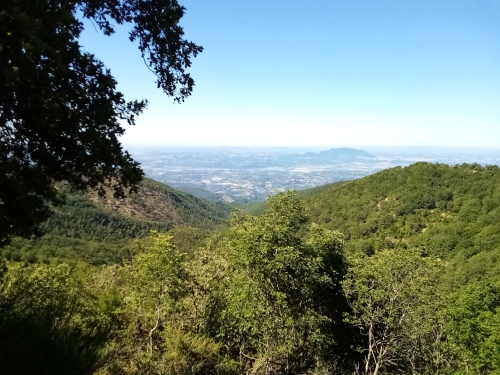 Traversata Macchia Verde (parte I, foto 12)