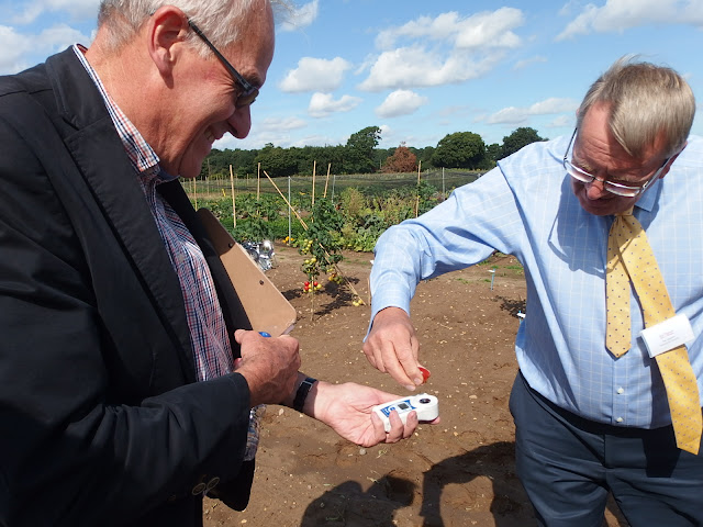 The Brix Refractometer in use