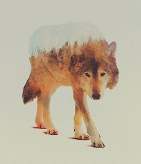 Double Exposure by Andreas Lie