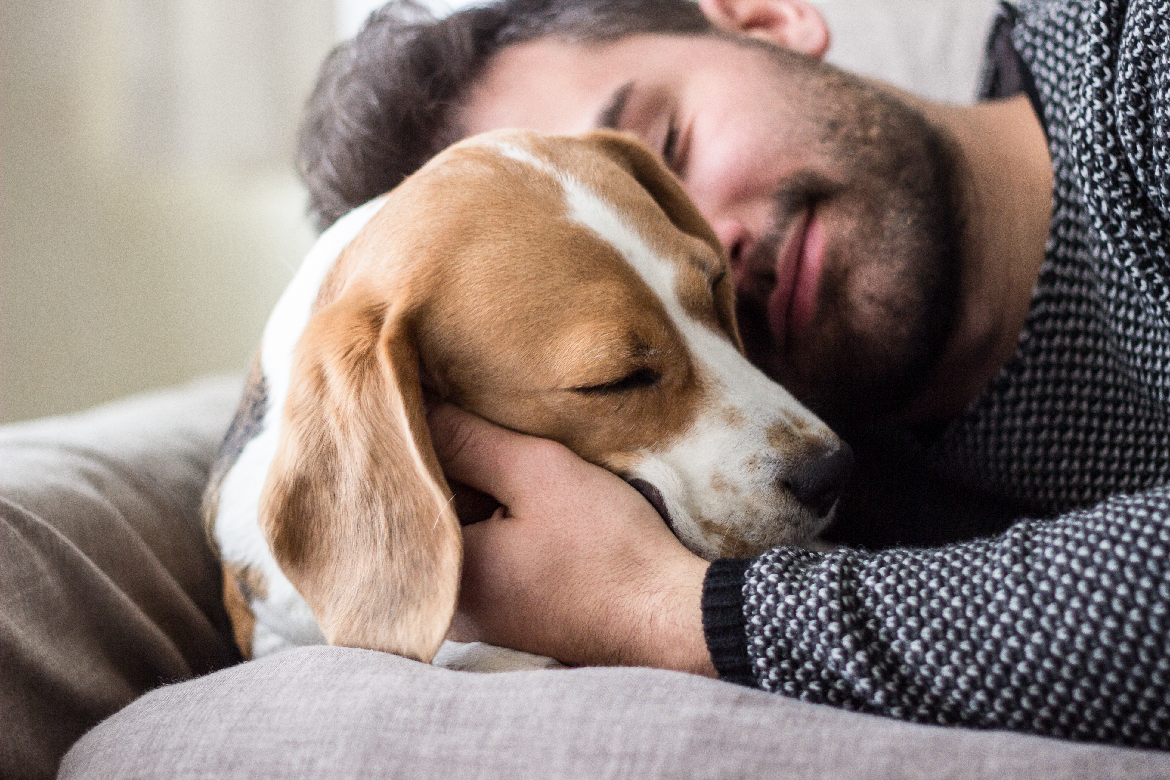 A amizade entre humanos e cães