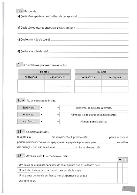 Avaliação Diagnóstica Estudo do Meio