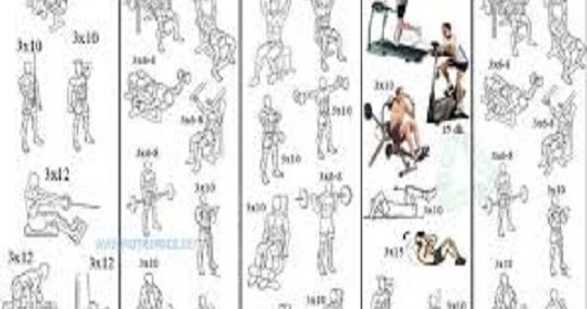Beginner's Bodybuilding Program and Intermediate ~ www.bodybuilding110.com