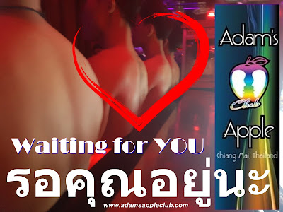 Go-go Bar Chiang Mai Adams Apple Nightclub