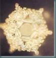 clip_image002[1]